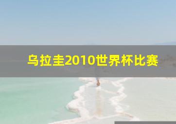 乌拉圭2010世界杯比赛