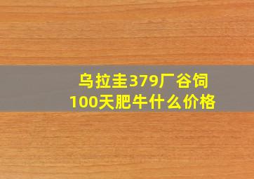 乌拉圭379厂谷饲100天肥牛什么价格