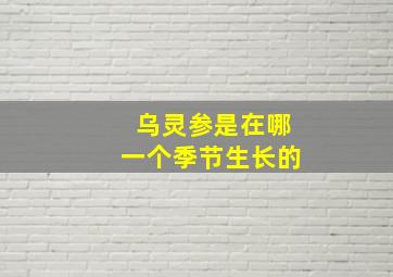 乌灵参是在哪一个季节生长的