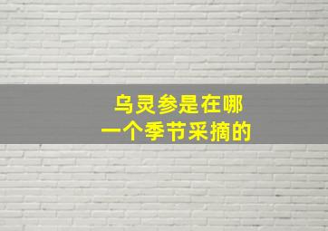 乌灵参是在哪一个季节采摘的