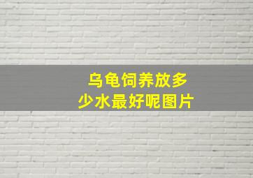 乌龟饲养放多少水最好呢图片