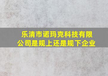 乐清市诺玛克科技有限公司是规上还是规下企业