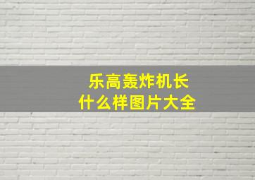 乐高轰炸机长什么样图片大全