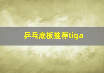 乒乓底板推荐tiga