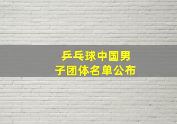 乒乓球中国男子团体名单公布