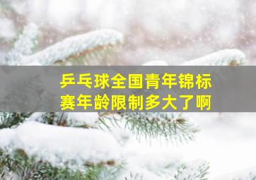 乒乓球全国青年锦标赛年龄限制多大了啊