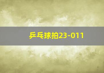 乒乓球拍23-011