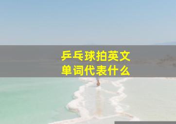 乒乓球拍英文单词代表什么