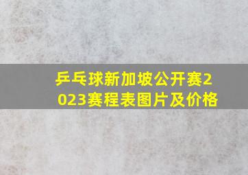 乒乓球新加坡公开赛2023赛程表图片及价格