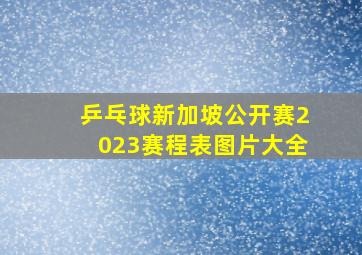 乒乓球新加坡公开赛2023赛程表图片大全