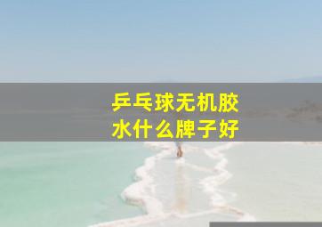 乒乓球无机胶水什么牌子好