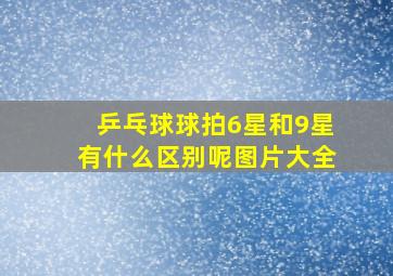 乒乓球球拍6星和9星有什么区别呢图片大全