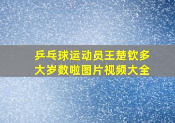 乒乓球运动员王楚钦多大岁数啦图片视频大全