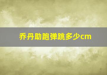 乔丹助跑弹跳多少cm