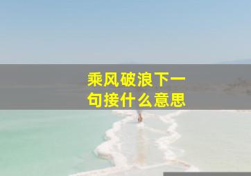 乘风破浪下一句接什么意思