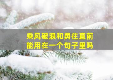 乘风破浪和勇往直前能用在一个句子里吗