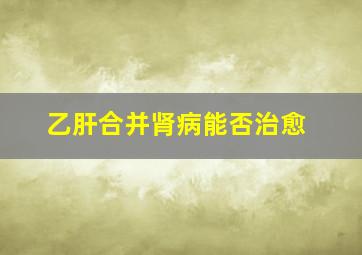 乙肝合并肾病能否治愈