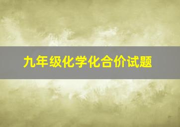 九年级化学化合价试题