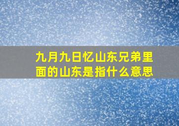 九月九日忆山东兄弟里面的山东是指什么意思