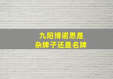 九阳博诺思是杂牌子还是名牌