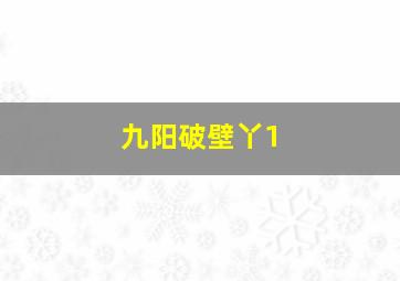 九阳破壁丫1