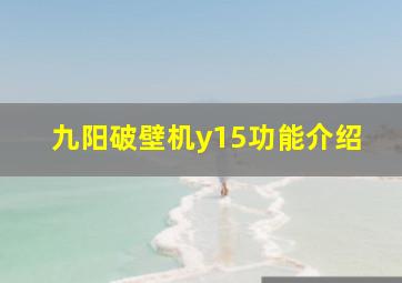 九阳破壁机y15功能介绍