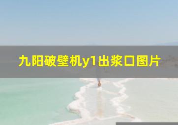 九阳破壁机y1出浆口图片