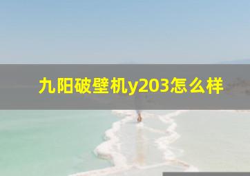 九阳破壁机y203怎么样