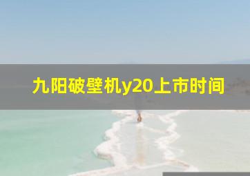 九阳破壁机y20上市时间