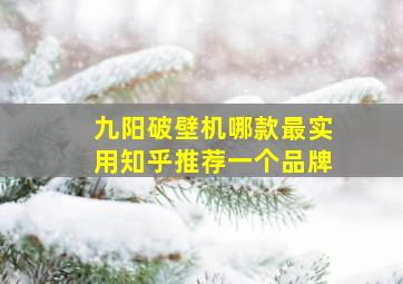 九阳破壁机哪款最实用知乎推荐一个品牌