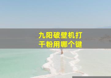 九阳破壁机打干粉用哪个键