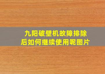 九阳破壁机故障排除后如何继续使用呢图片