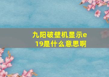 九阳破壁机显示e19是什么意思啊