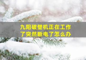 九阳破壁机正在工作了突然断电了怎么办