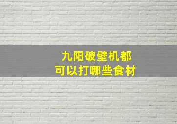 九阳破壁机都可以打哪些食材