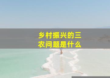 乡村振兴的三农问题是什么