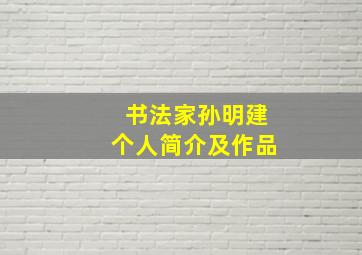 书法家孙明建个人简介及作品