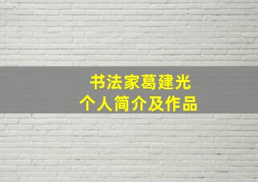 书法家葛建光个人简介及作品