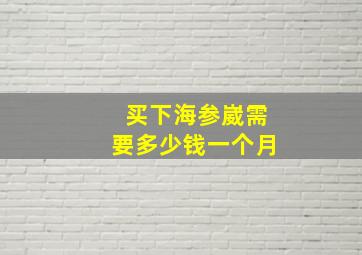 买下海参崴需要多少钱一个月