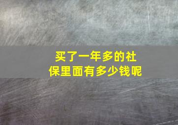 买了一年多的社保里面有多少钱呢