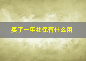 买了一年社保有什么用