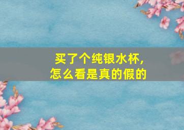 买了个纯银水杯,怎么看是真的假的