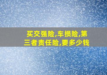 买交强险,车损险,第三者责任险,要多少钱