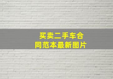 买卖二手车合同范本最新图片