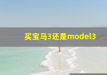 买宝马3还是model3