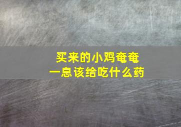 买来的小鸡奄奄一息该给吃什么药