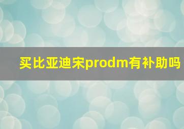 买比亚迪宋prodm有补助吗