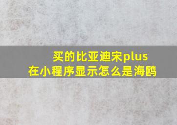 买的比亚迪宋plus在小程序显示怎么是海鸥