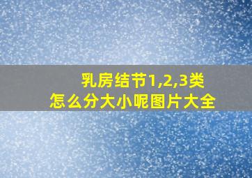 乳房结节1,2,3类怎么分大小呢图片大全