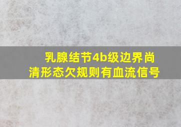 乳腺结节4b级边界尚清形态欠规则有血流信号